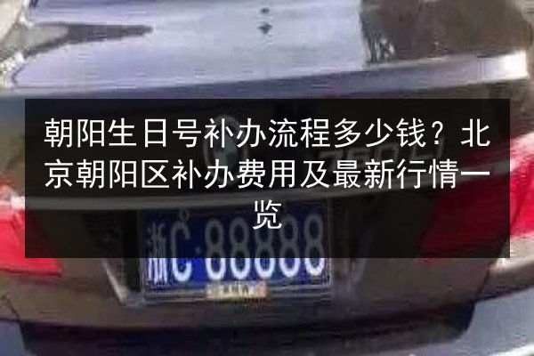 朝阳生日号补办流程多少钱？北京朝阳区补办费用及最新行情一览 第2张