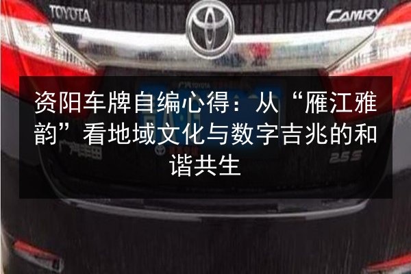 资阳车牌自编心得：从“雁江雅韵”看地域文化与数字吉兆的和谐共生 第2张