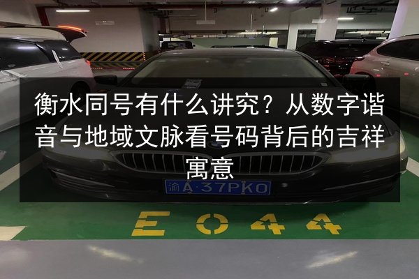 衡水同号有什么讲究？从数字谐音与地域文脉看号码背后的吉祥寓意