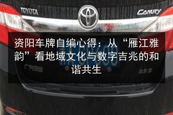 资阳车牌自编心得：从“雁江雅韵”看地域文化与数字吉兆的和谐共生 第3张
