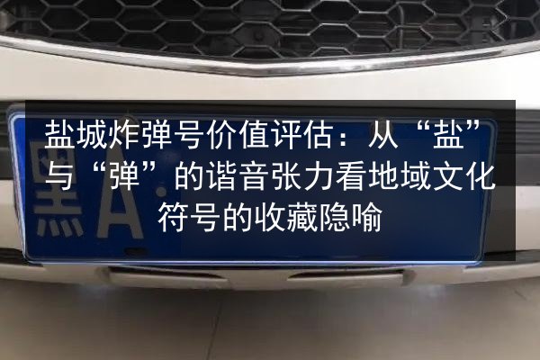 盐城炸弹号价值评估：从“盐”与“弹”的谐音张力看地域文化符号的收藏隐喻