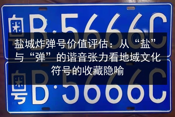 盐城炸弹号价值评估:从“盐”与“弹”的谐音张力看地域文化符号的收藏隐喻 第2张 盐城炸弹号价值评估:从“盐”与“弹”的谐音张力看地域文化符号的收藏隐喻 第2张