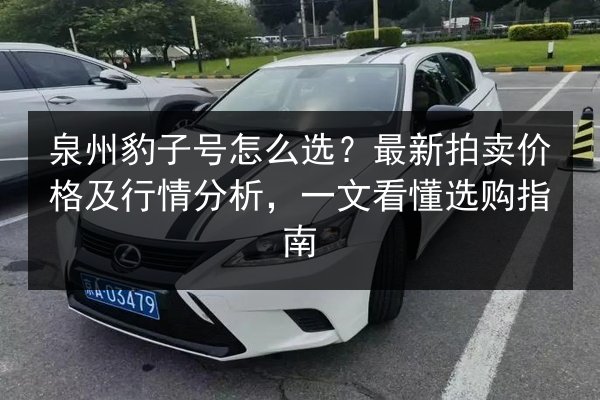 泉州豹子号怎么选？最新拍卖价格及行情分析，一文看懂选购指南