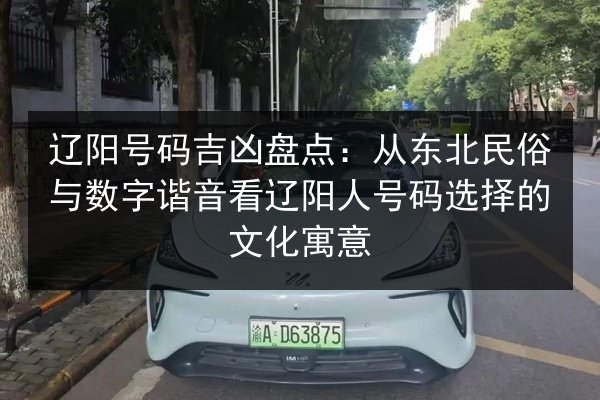 辽阳号码吉凶盘点：从东北民俗与数字谐音看辽阳人号码选择的文化寓意