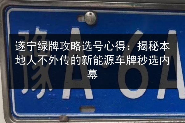 遂宁绿牌攻略选号心得：揭秘本地人不外传的新能源车牌秒选内幕