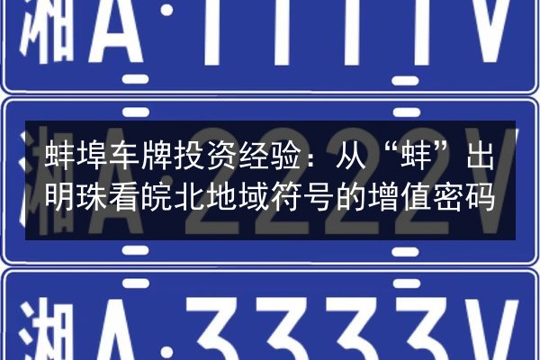 蚌埠车牌投资经验:从“蚌”出明珠看皖北地域符号的增值密码 第2张 蚌埠车牌投资经验:从“蚌”出明珠看皖北地域符号的增值密码 第2张