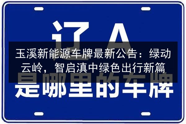 玉溪新能源车牌最新公告:绿动云岭,智启滇中绿色出行新篇 第2张 玉溪新能源车牌最新公告:绿动云岭,智启滇中绿色出行新篇 第2张