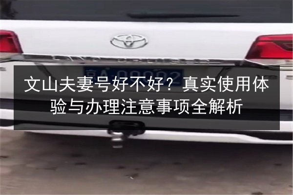 文山夫妻号好不好？真实使用体验与办理注意事项全解析 第2张