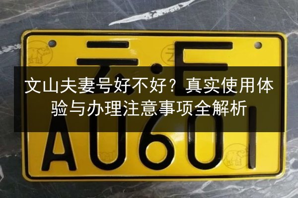 文山夫妻号好不好？真实使用体验与办理注意事项全解析 第3张