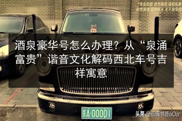 酒泉豪华号怎么办理？从“泉涌富贵”谐音文化解码西北车号吉祥寓意