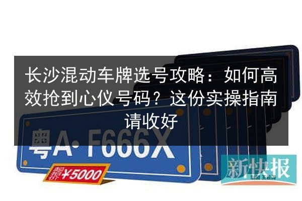 长沙混动车牌选号攻略：如何高效抢到心仪号码？这份实操指南请收好 第2张