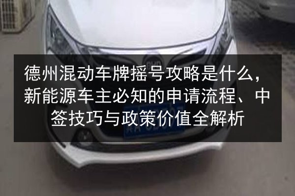 德州混动车牌摇号攻略是什么，新能源车主必知的申请流程、中签技巧与政策价值全解析