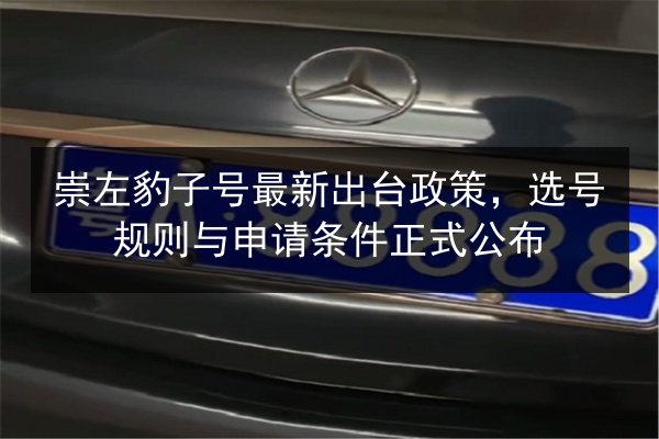 崇左豹子号最新出台政策，选号规则与申请条件正式公布