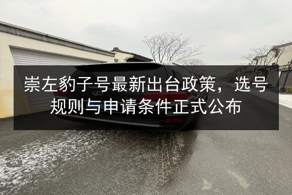 崇左豹子号最新出台政策,选号规则与申请条件正式公布 第2张 崇左豹子号最新出台政策,选号规则与申请条件正式公布 第2张