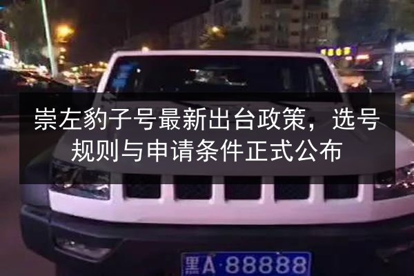 崇左豹子号最新出台政策,选号规则与申请条件正式公布 第3张 崇左豹子号最新出台政策,选号规则与申请条件正式公布 第3张