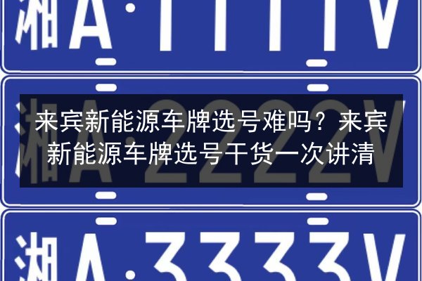 来宾新能源车牌选号难吗？来宾新能源车牌选号干货一次讲清