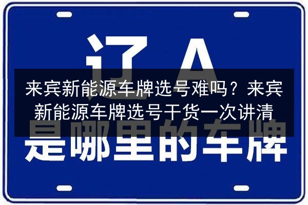 来宾新能源车牌选号难吗?来宾新能源车牌选号干货一次讲清 第3张 来宾新能源车牌选号难吗?来宾新能源车牌选号干货一次讲清 第3张