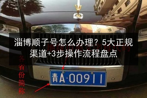 淄博顺子号怎么办理？5大正规渠道+3步操作流程盘点
