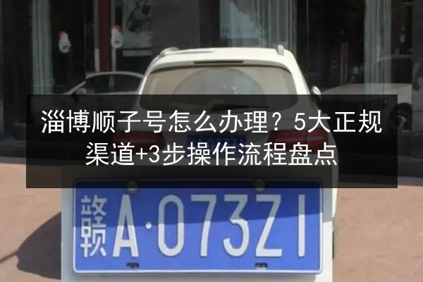 淄博顺子号怎么办理？5大正规渠道+3步操作流程盘点 第2张