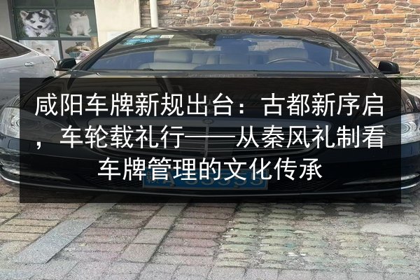 咸阳车牌新规出台:古都新序启,车轮载礼行——从秦风礼制看车牌管理的文化传承 第3张 咸阳车牌新规出台:古都新序启,车轮载礼行——从秦风礼制看车牌管理的文化传承 第3张