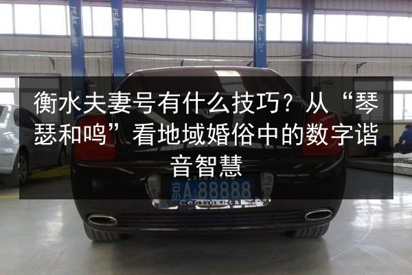 衡水夫妻号有什么技巧？从“琴瑟和鸣”看地域婚俗中的数字谐音智慧