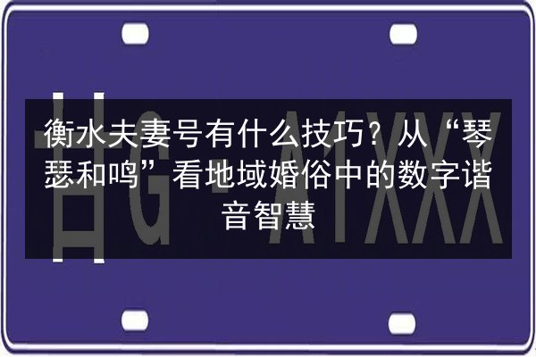 衡水夫妻号有什么技巧？从“琴瑟和鸣”看地域婚俗中的数字谐音智慧 第2张