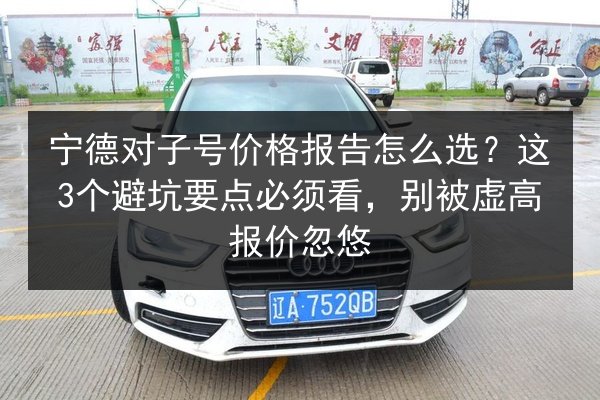 宁德对子号价格报告怎么选？这3个避坑要点必须看，别被虚高报价忽悠