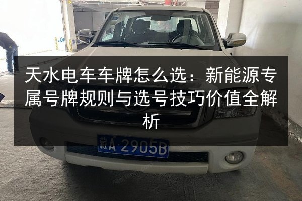 天水电车车牌怎么选:新能源专属号牌规则与选号技巧价值全解析 第3张 天水电车车牌怎么选:新能源专属号牌规则与选号技巧价值全解析 第3张