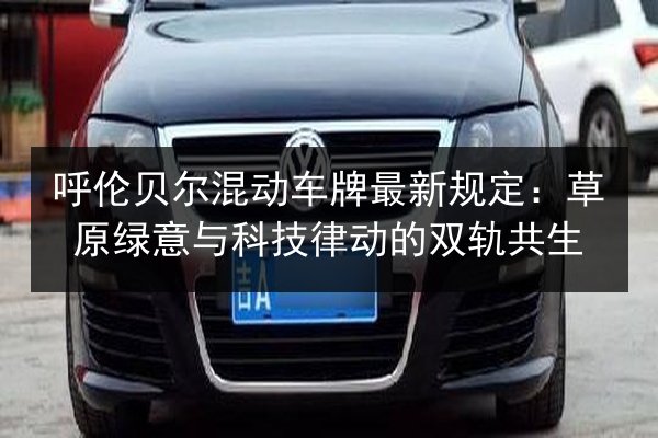 呼伦贝尔混动车牌最新规定：草原绿意与科技律动的双轨共生