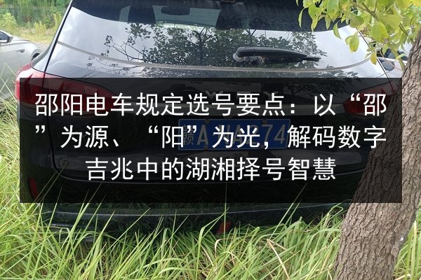 邵阳电车规定选号要点：以“邵”为源、“阳”为光，解码数字吉兆中的湖湘择号智慧 第1张
