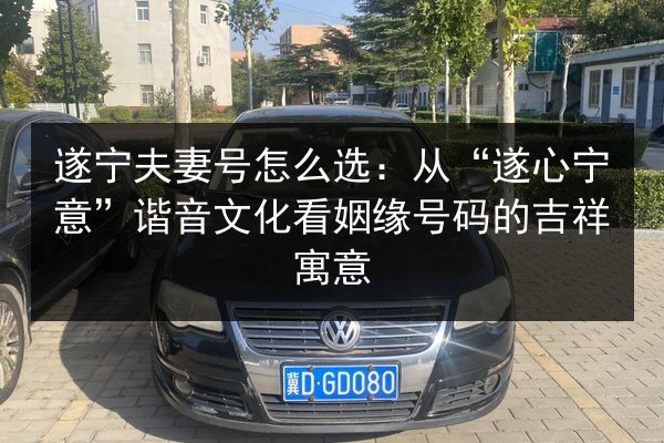 遂宁夫妻号怎么选：从“遂心宁意”谐音文化看姻缘号码的吉祥寓意 第2张