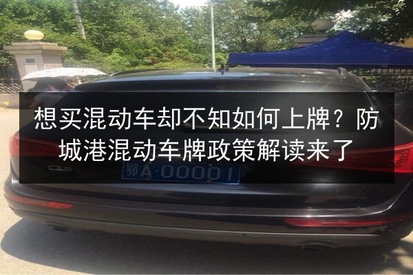 想买混动车却不知如何上牌？防城港混动车牌政策解读来了