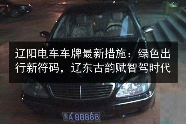 辽阳电车车牌最新措施:绿色出行新符码,辽东古韵赋智驾时代 第3张 辽阳电车车牌最新措施:绿色出行新符码,辽东古韵赋智驾时代 第3张