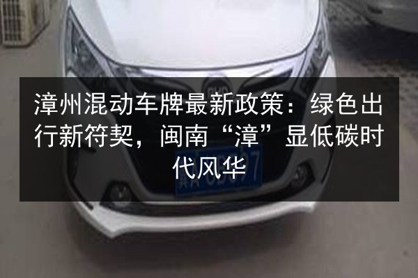漳州混动车牌最新政策:绿色出行新符契,闽南“漳”显低碳时代风华 第2张 漳州混动车牌最新政策:绿色出行新符契,闽南“漳”显低碳时代风华 第2张