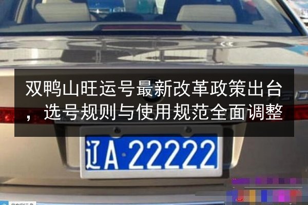 双鸭山旺运号最新改革政策出台，选号规则与使用规范全面调整 第1张