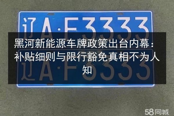黑河新能源车牌政策出台内幕：补贴细则与限行豁免真相不为人知