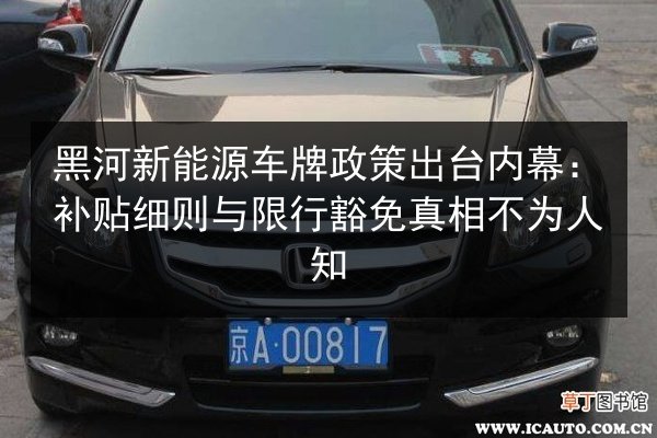 黑河新能源车牌政策出台内幕:补贴细则与限行豁免真相不为人知 第2张 黑河新能源车牌政策出台内幕:补贴细则与限行豁免真相不为人知 第2张