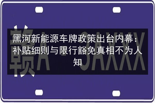 黑河新能源车牌政策出台内幕:补贴细则与限行豁免真相不为人知 第3张 黑河新能源车牌政策出台内幕:补贴细则与限行豁免真相不为人知 第3张