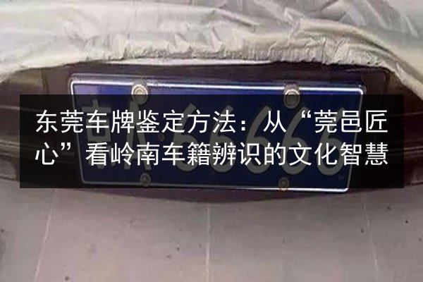 东莞车牌鉴定方法:从“莞邑匠心”看岭南车籍辨识的文化智慧 第2张 东莞车牌鉴定方法:从“莞邑匠心”看岭南车籍辨识的文化智慧 第2张