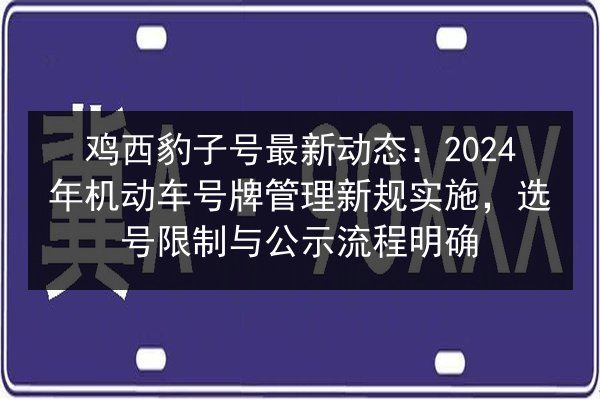 鸡西豹子号最新动态：2024年机动车号牌管理新规实施，选号限制与公示流程明确