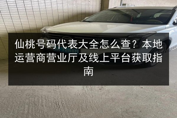 仙桃号码代表大全怎么查？本地运营商营业厅及线上平台获取指南 第2张