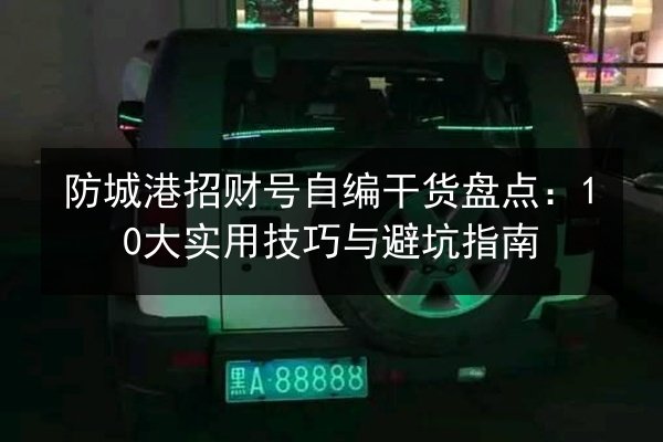 防城港招财号自编干货盘点：10大实用技巧与避坑指南 第2张