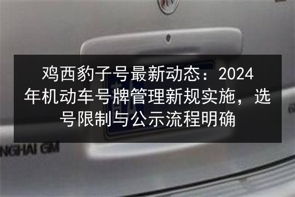 鸡西豹子号最新动态：2024年机动车号牌管理新规实施，选号限制与公示流程明确 第2张