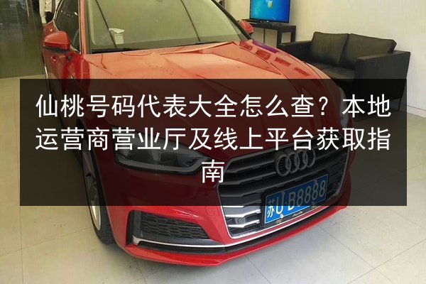 仙桃号码代表大全怎么查？本地运营商营业厅及线上平台获取指南 第3张