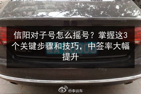 信阳对子号怎么摇号？掌握这3个关键步骤和技巧，中签率大幅提升 第2张