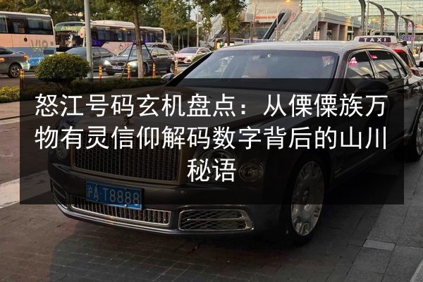 怒江号码玄机盘点：从傈僳族万物有灵信仰解码数字背后的山川秘语 第1张