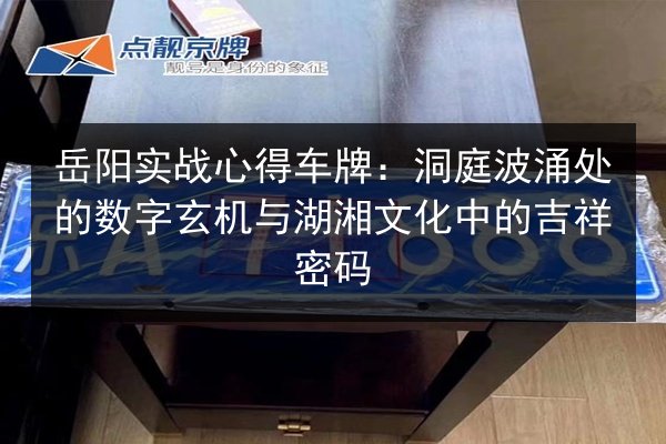 岳阳实战心得车牌：洞庭波涌处的数字玄机与湖湘文化中的吉祥密码 第2张