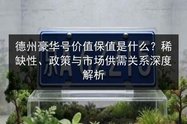德州豪华号价值保值是什么？稀缺性、政策与市场供需关系深度解析 第2张