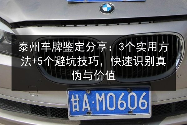 泰州车牌鉴定分享：3个实用方法+5个避坑技巧，快速识别真伪与价值