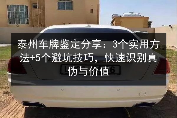 泰州车牌鉴定分享:3个实用方法+5个避坑技巧,快速识别真伪与价值 第2张 泰州车牌鉴定分享:3个实用方法+5个避坑技巧,快速识别真伪与价值 第2张